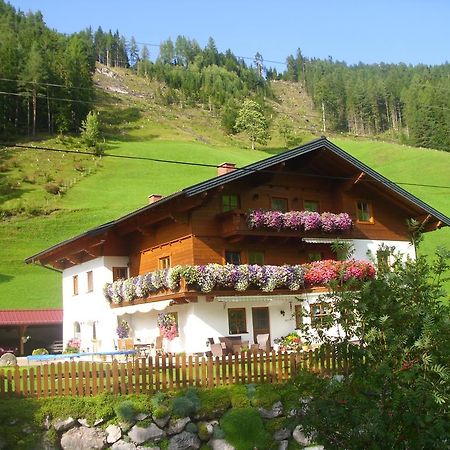 Untersteinhof Apartman Forstau  Kültér fotó